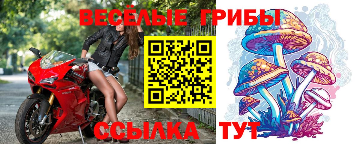 Гулькевичи  Псилоцибиновые грибы Cubensis  Вход с VPN 