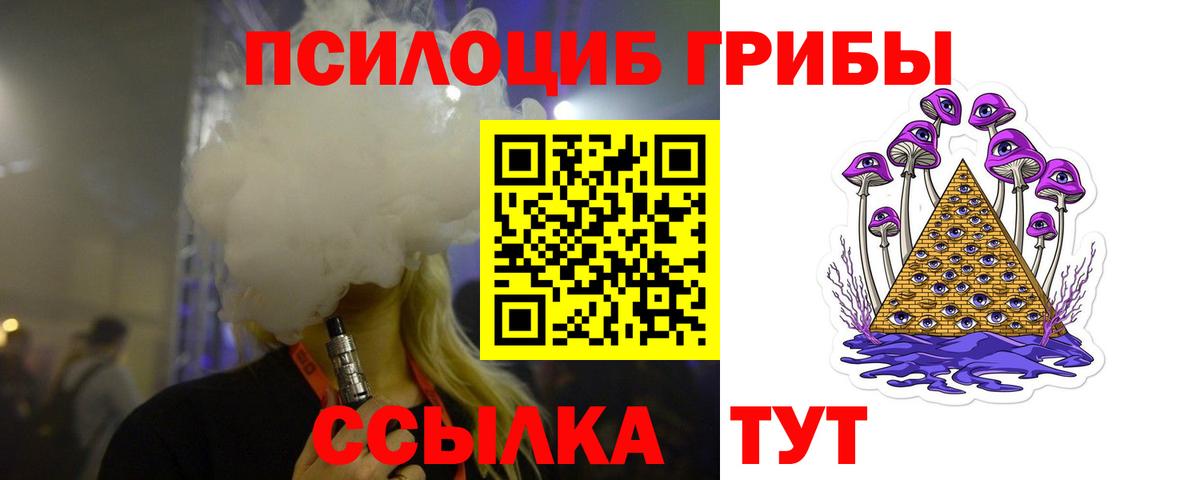 Псилоцибиновые грибы мухоморы Гулькевичи
